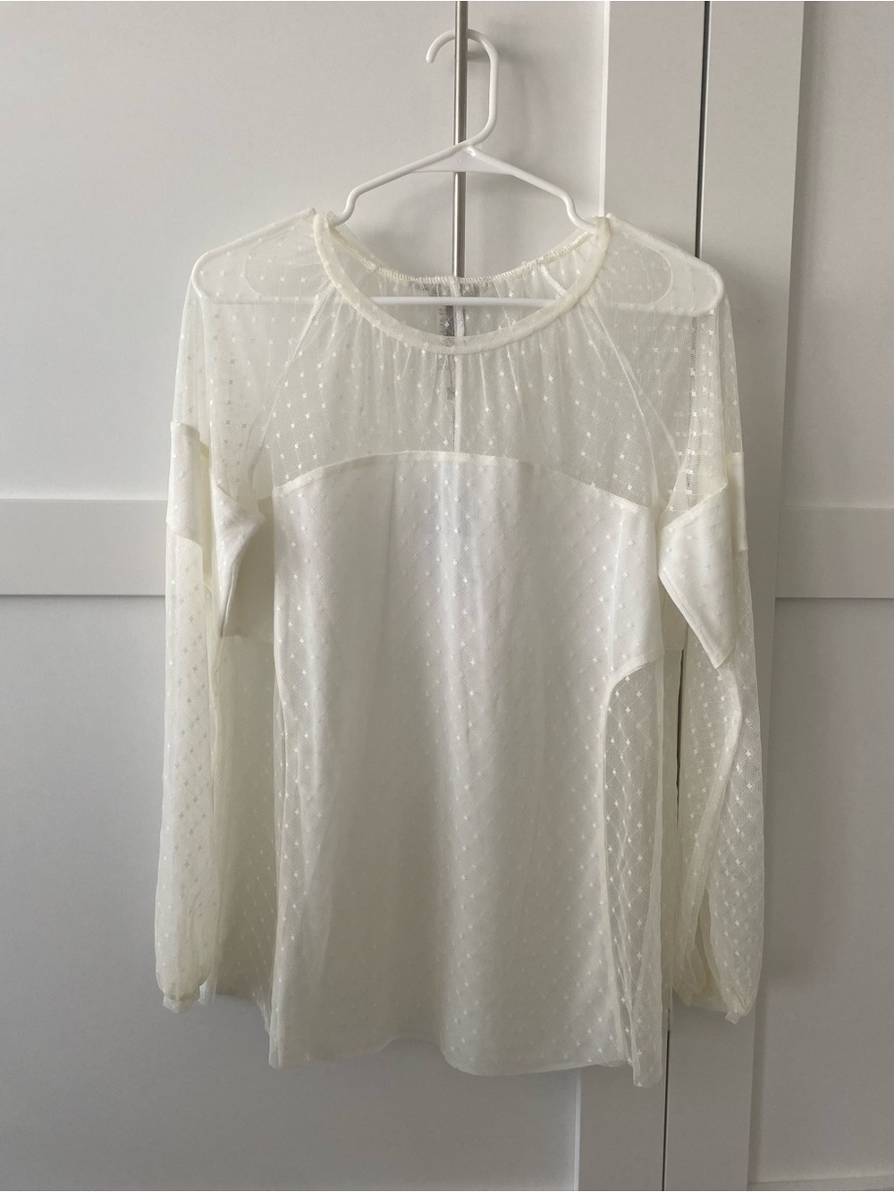 BCBGMaxAzria Ivory Sheer Swiss Dot Long-Sleeve Blouse